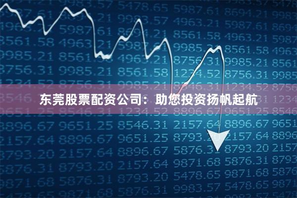 东莞股票配资公司：助您投资扬帆起航